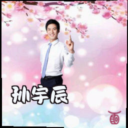 孙宇辰